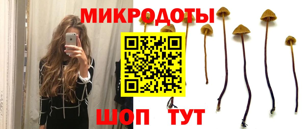 где купить наркоту  Псилоцибиновые грибы ЛСД  Вход с VPN  Анжеро-Судженск 